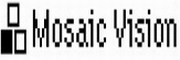 Mosaic Vision资源区
